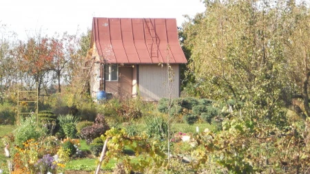 Bezdomni na ogrodach działkowych