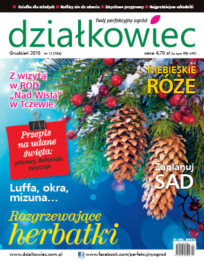 Miesięcznik "działkowiec" najlepiej sprzedającym się czasopismem o tematyce ogrodniczej w Polsce!