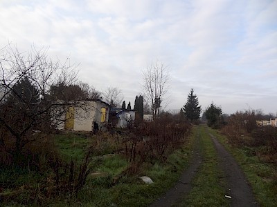 Ruina i slumsy. Tak poznańska Temida zniszczyła ogród