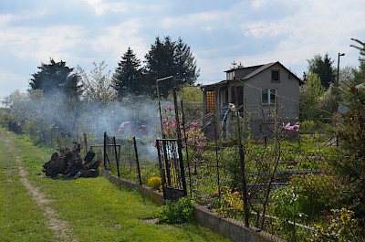 Mieszkańcy miast skarżą się na działkowców. Powodem jest łamanie zakazu spalania