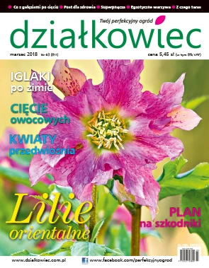 Czytajcie "działkowca" !