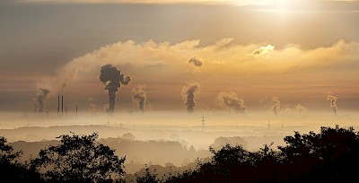 Znaczenie ogrodów działkowych w walce ze smogiem