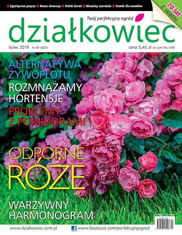 Czytajcie "działkowca"!