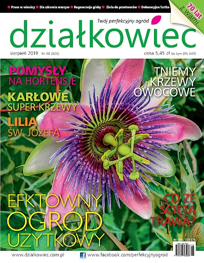 Czytajcie "działkowca"! - sierpniowy numer już w sprzedaży!