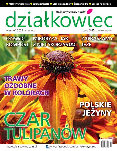 Czytajcie "działkowca"!