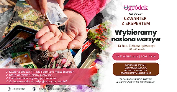 Wybieramy nasiona warzyw – LIVE – 27 stycznia, godz. 13:00