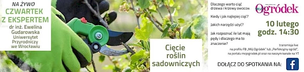 "Cięcie roślin sadowniczych" – kolejne ciekawe spotkanie na żywo z ekspertem na mojogrodek.pl