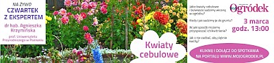 Live "Kwiaty cebulowe" – dowiedz się wszystkiego o sadzeniu i uprawie cebulowych wiosną