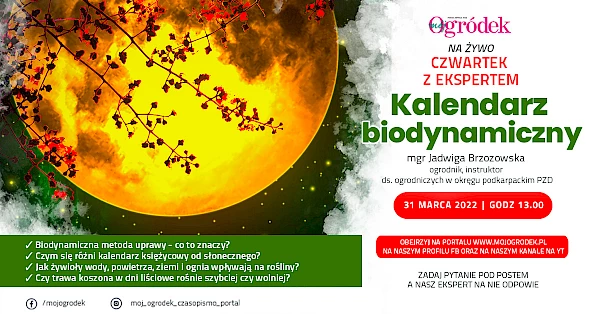 "Kalendarz biodynamiczny" – live, który nauczy Cię jak wykorzystać wpływ Księżyca na rozwój roślin