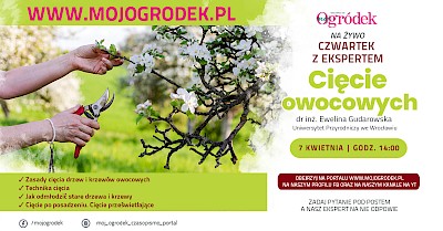 Jak ciąć drzewa i krzewy owocowe? Podpowiemy w live "Cięcie owocowych" 7 kwietnia