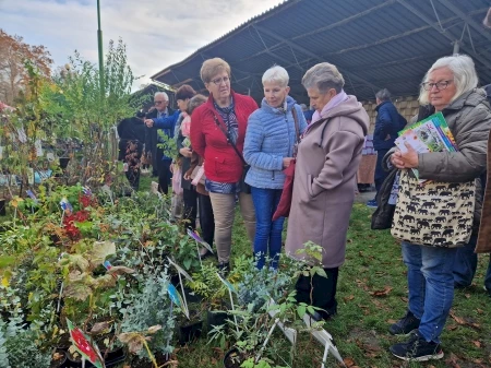 Szkolenie SSI połączone z Jesiennym kiermaszem ogrodniczym w Końskowoli