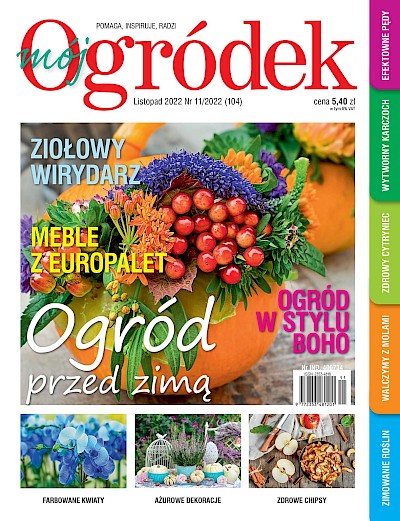 Listopadowy "Mój Ogródek" – od 19.10 w sprzedaży! Kup, przeczytaj, poleć innym działkowcom i ogrodni