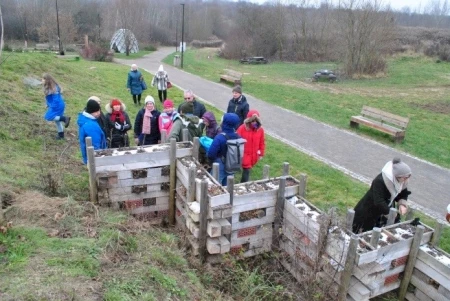 Owady zapylające – co możemy dla nich zrobić?