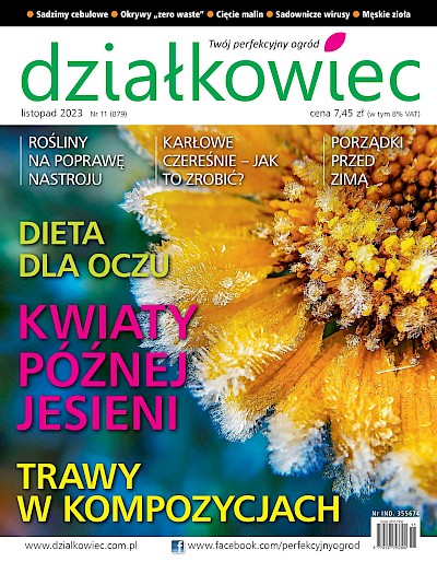 Czytajcie "działkowca"!