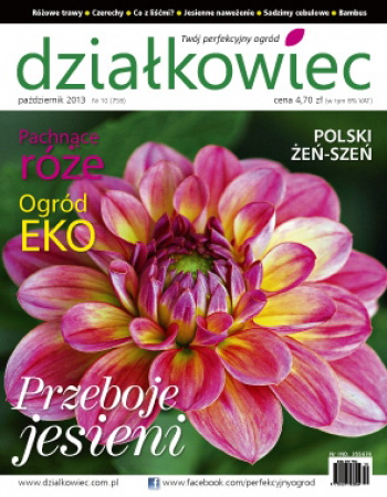 Czytajcie â€ždziałkowcaâ€! -październik 2013