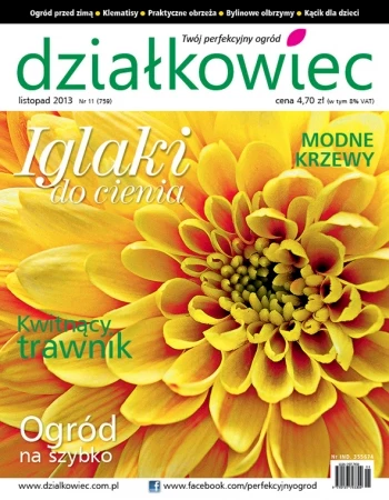 Czytajcie "działkowca" listopad 2013!