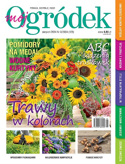 Sierpniowy „Mój Ogródek” – od 22.07 w sprzedaży! Kup, przeczytaj, poleć innym działkowcom i ogrodnikom!