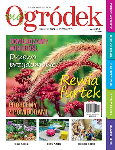 Październikowy „Mój Ogródek” – od 20.09 w sprzedaży! Kup, przeczytaj, poleć innym działkowcom i ogrodnikom!