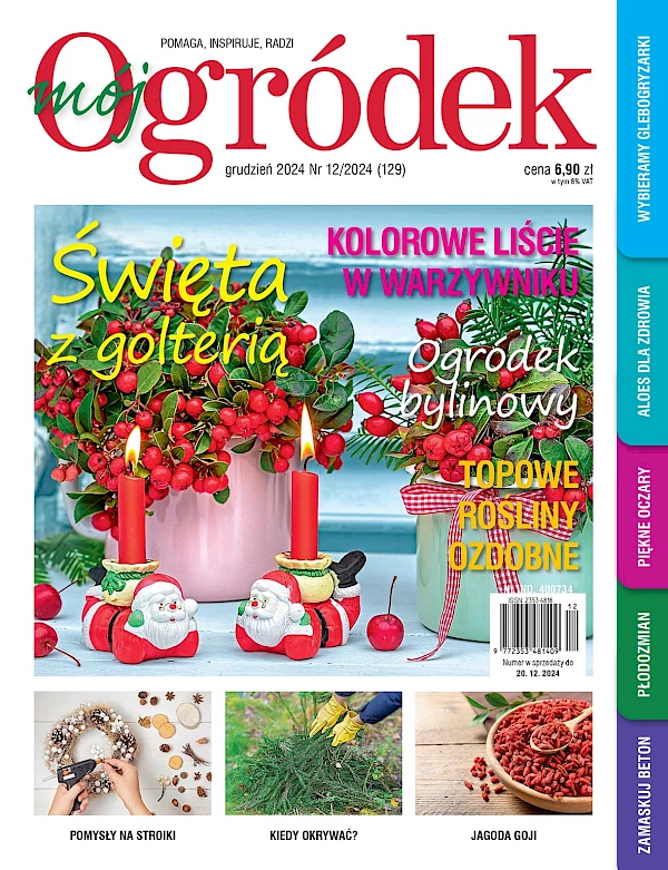 Grudniowy „Mój Ogródek” – od 20.11 w sprzedaży! Kup, przeczytaj, poleć innym działkowcom i ogrodnikom!